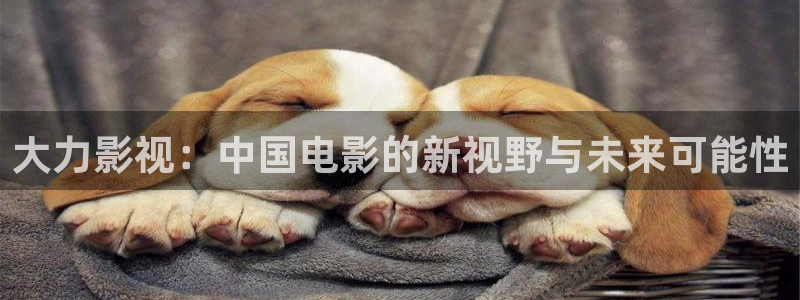 大力影视：中国电影的新视野与未来可能性