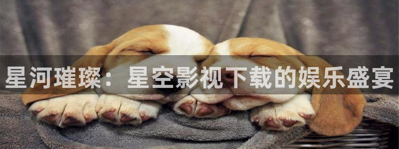 星河璀璨：星空影视下载的娱乐盛宴
