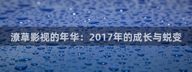 潦草影视的年华：2017年的成长与蜕变