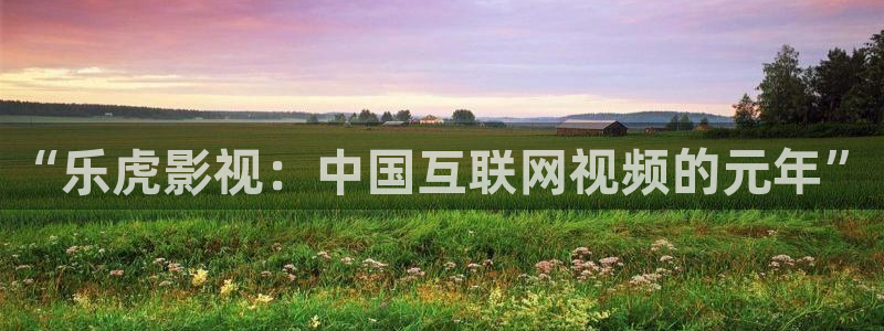 “乐虎影视：中国互联网视频的元年”