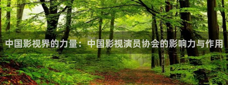 中国影视界的力量：中国影视演员协会的影响力与作用